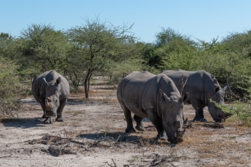 Africa2019-121