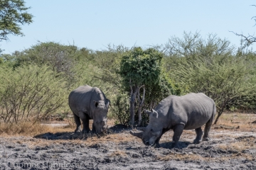 Africa2019-122