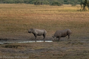 Africa2019-130