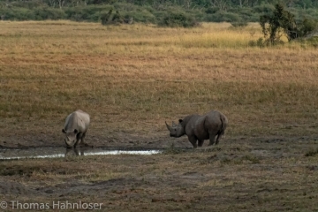 Africa2019-131