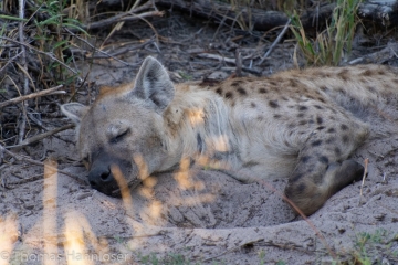 Africa2019-136