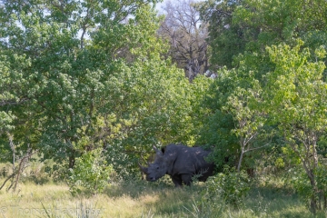 Africa2019-137
