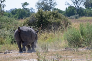 Africa2019-139