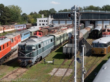 2019-Rhb-134 2019-Rhb-134