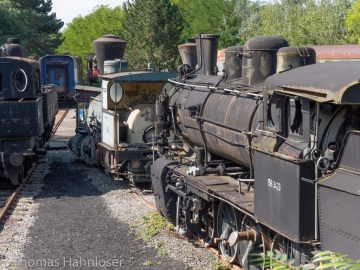 2019-Rhb-142 2019-Rhb-142