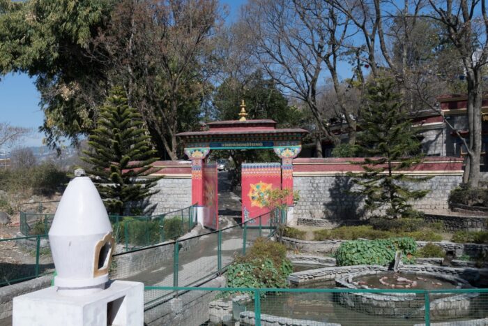 20180220_110233_NIKON D500_DxO