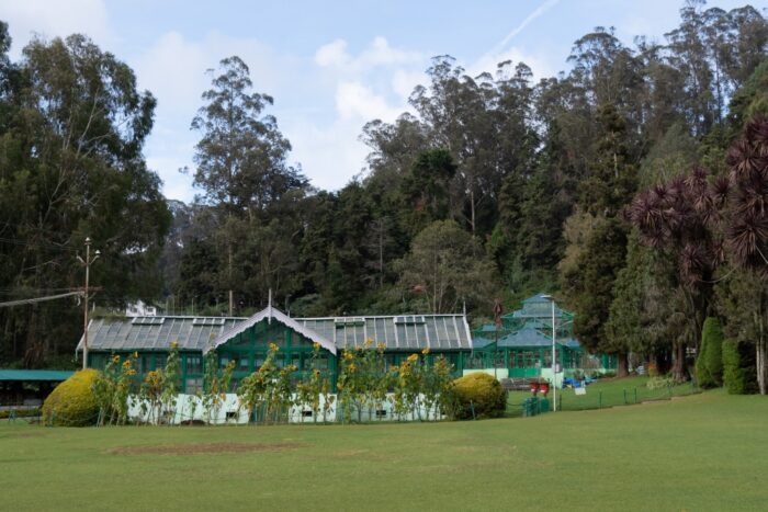 20181123_152323_NIKON D500_DxO