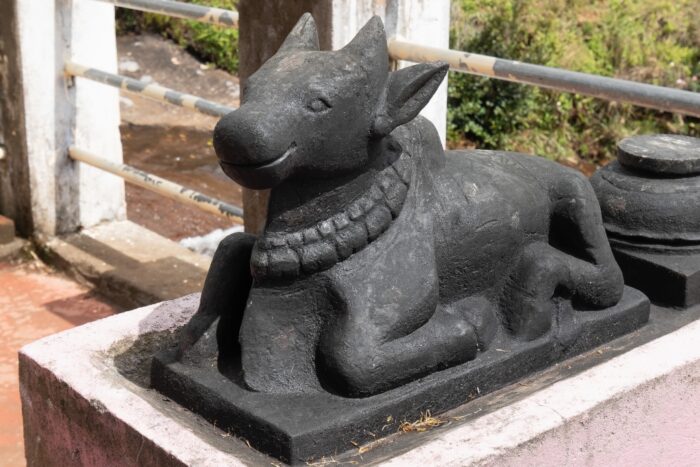 20181124_115355_DMC-GM5_DxO