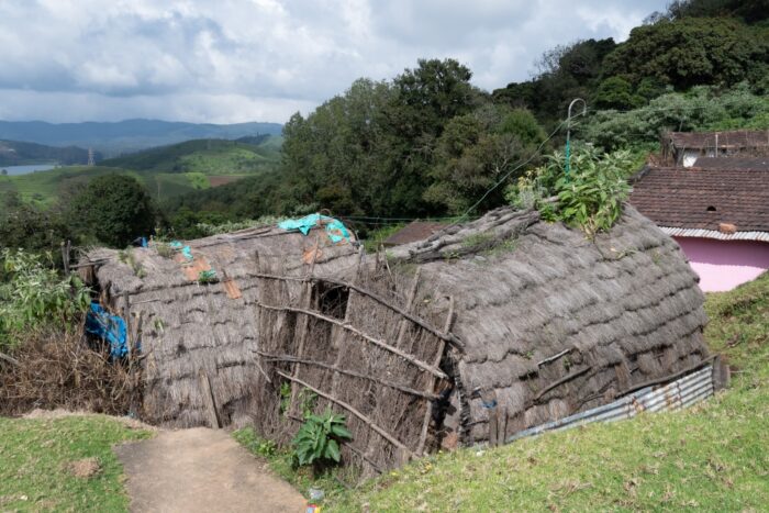 20181124_140936_NIKON D500_DxO