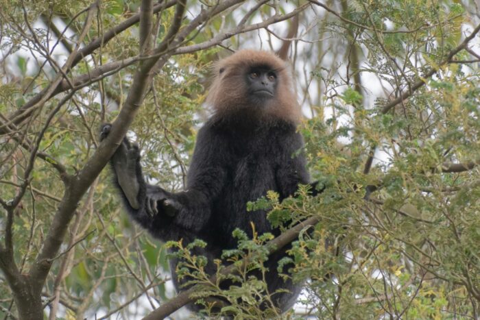 20181124_143719_NIKON D500_DxO