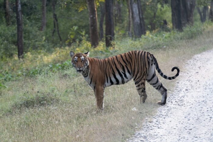 20181202_171253_NIKON D500a_DxO