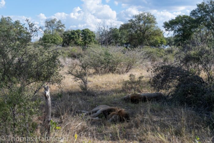 Africa2019-100