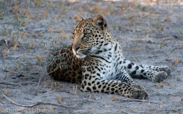 Africa2019-117
