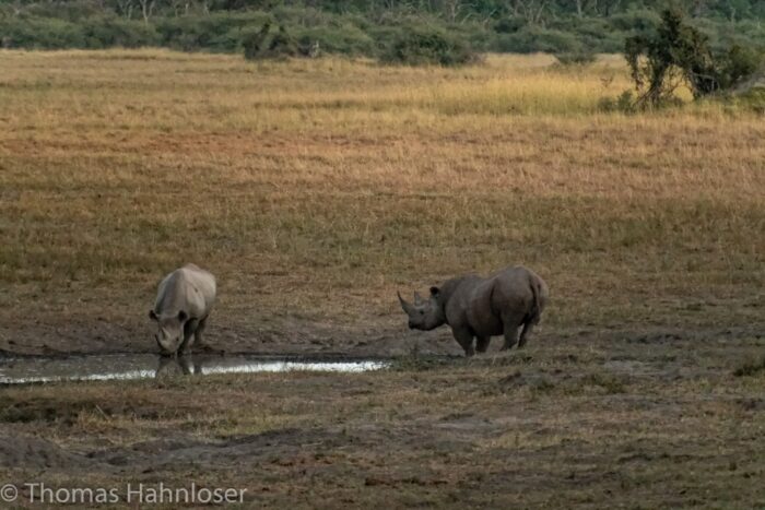 Africa2019-131