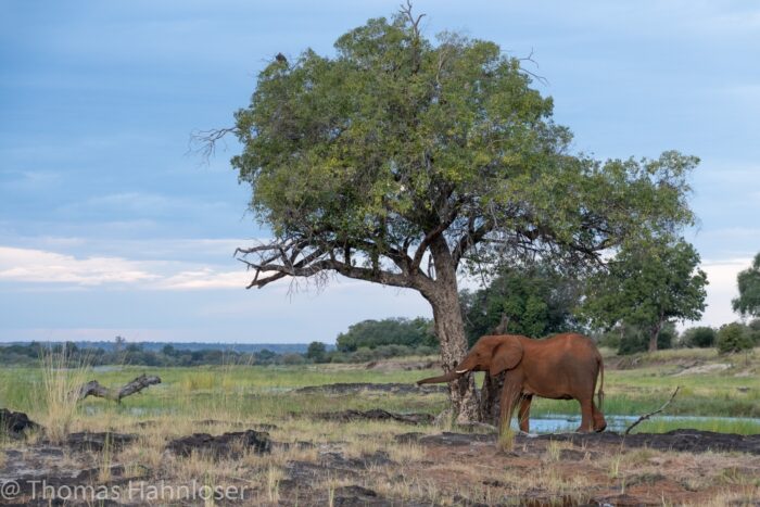 Africa2019-18 Africa2019-18