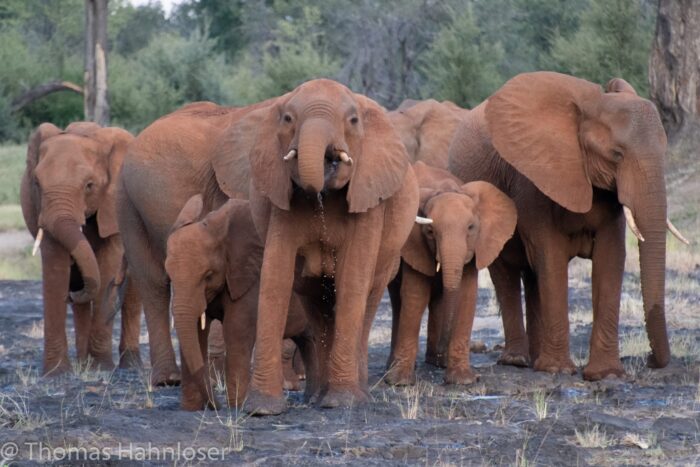 Africa2019-19 Africa2019-19