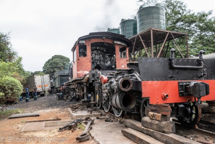 Africa2019-512
