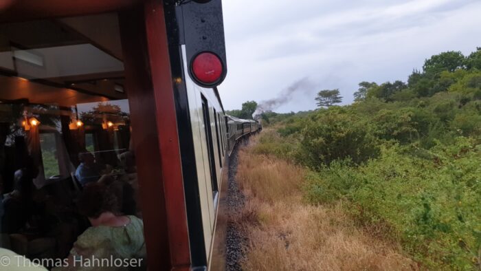 Africa2019-539